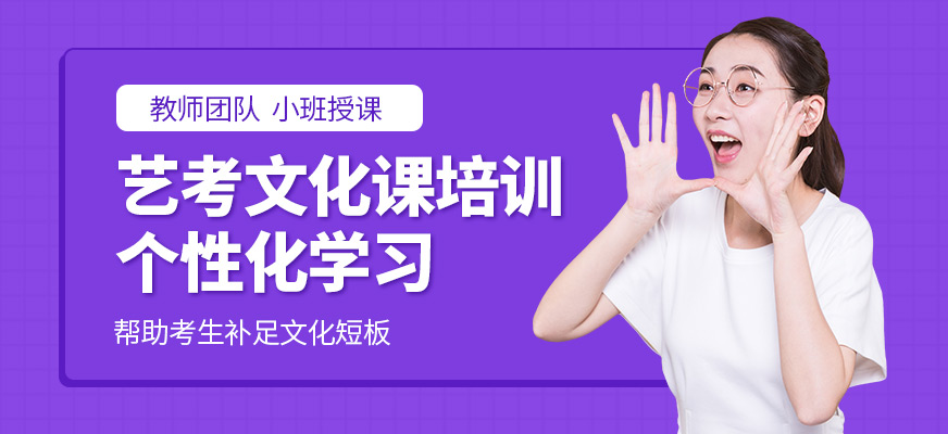 銳思教育藝考文化課培訓(xùn)課程