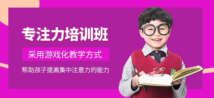 金博智慧專注力課程