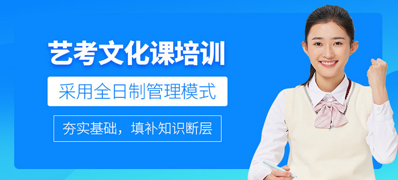 藝考文化課培訓(xùn)