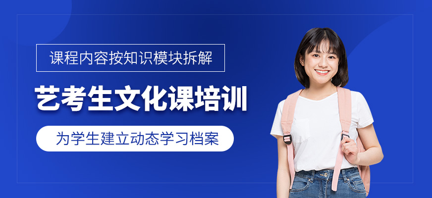 天津藝考生文化課沖刺班
