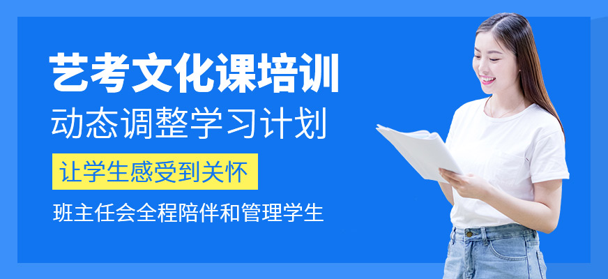 藝考文化課輔導(dǎo)