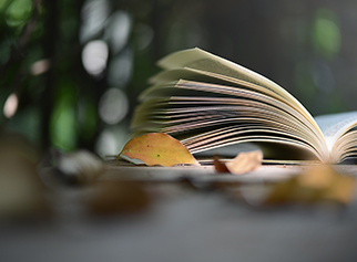 書籍