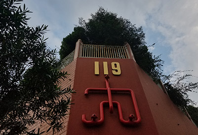 119