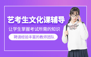 成都高考藝考文化課輔導