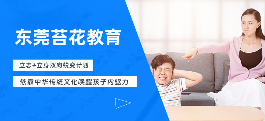 苔花教育