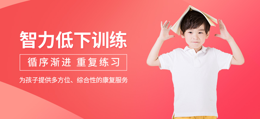 智力低下培訓班