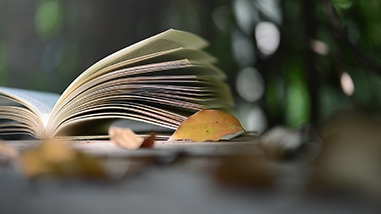 書籍