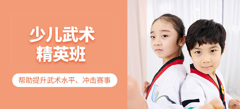 兒童武術精英班