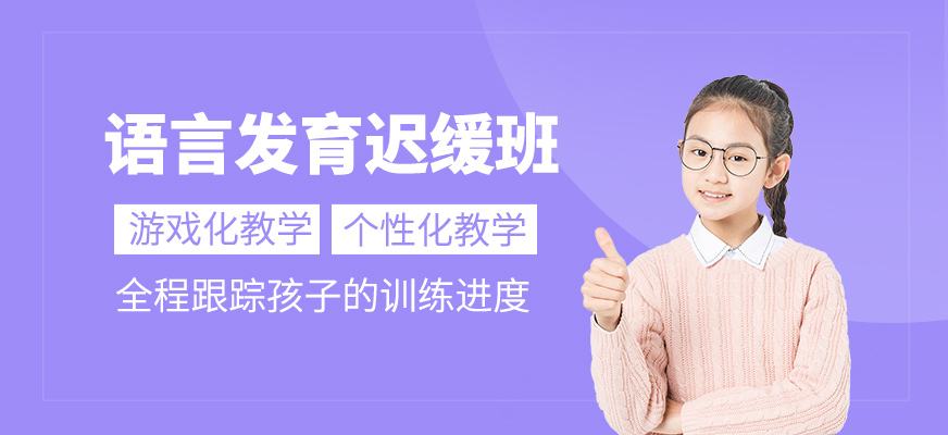 兒童語言發(fā)育遲緩訓(xùn)練