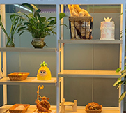 作品展示