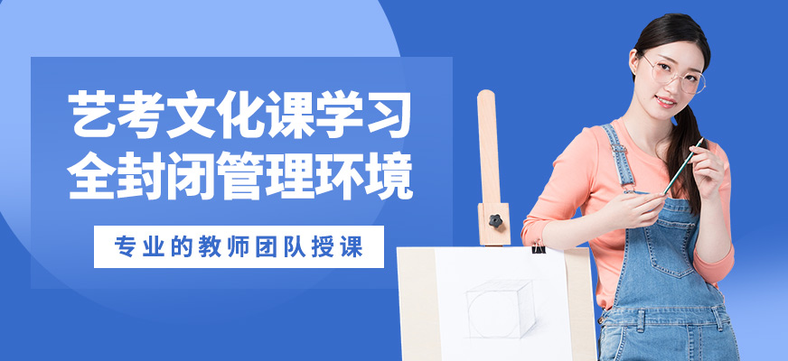 銳思藝考文化課學習