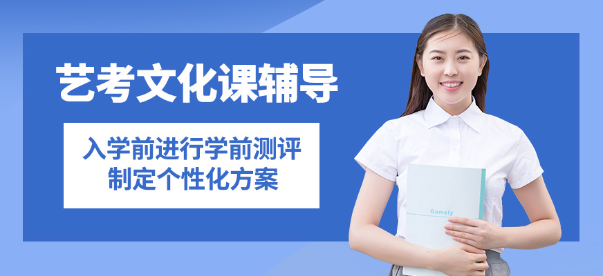 銳思藝考文化課輔導(dǎo)