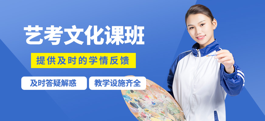 銳思藝考文化課班
