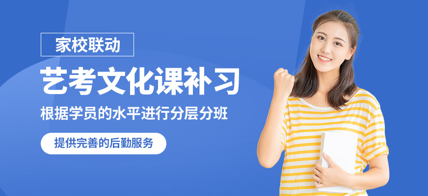 銳思藝考文化課補習