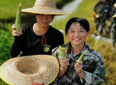 认识和采摘蔬菜水果