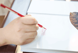 SAT基礎數學