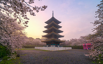 日语老师讲座、职业素质讲座、日式动湿讲座、日本文化体验、名企参访之旅、日本短期游学。