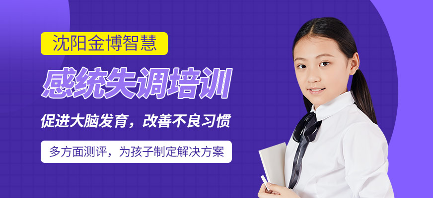 感統(tǒng)失調(diào)培訓