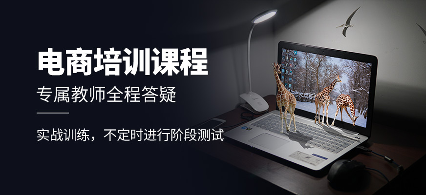 電商培訓(xùn)課程