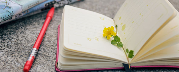 測(cè)評(píng)制定方案