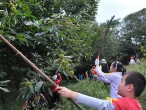 參觀革命歷程
