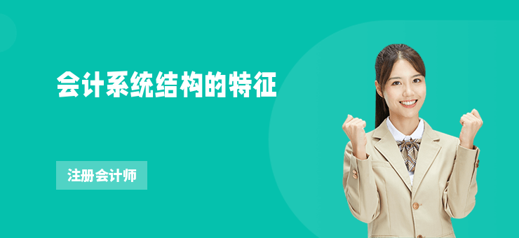 會計系統結構的特征