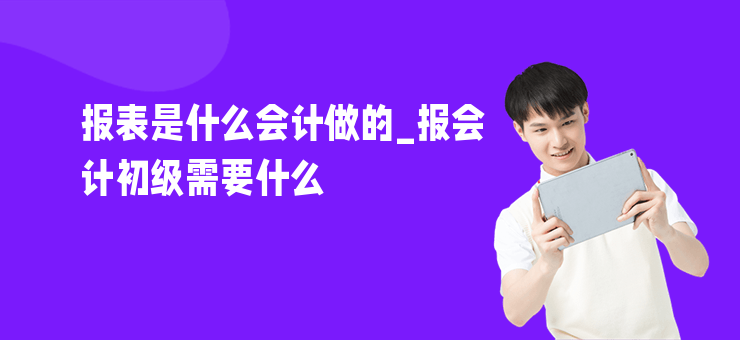 報(bào)表是什么會(huì)計(jì)做的_報(bào)會(huì)計(jì)初級(jí)需要什么