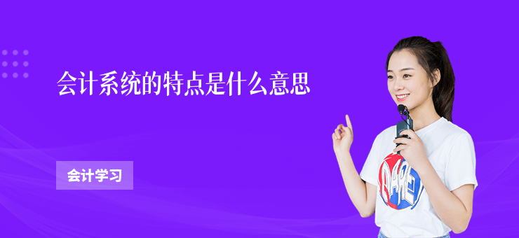 會計系統的特點是什么意思