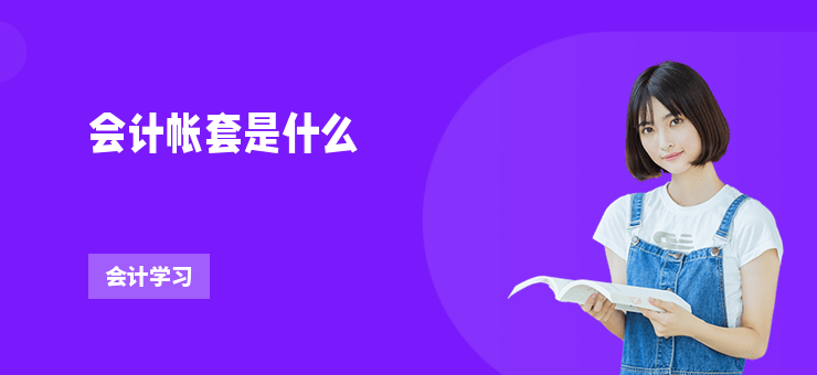 會(huì)計(jì)帳套是什么