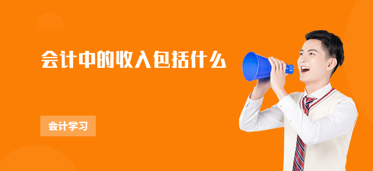 會計中的收入包括什么