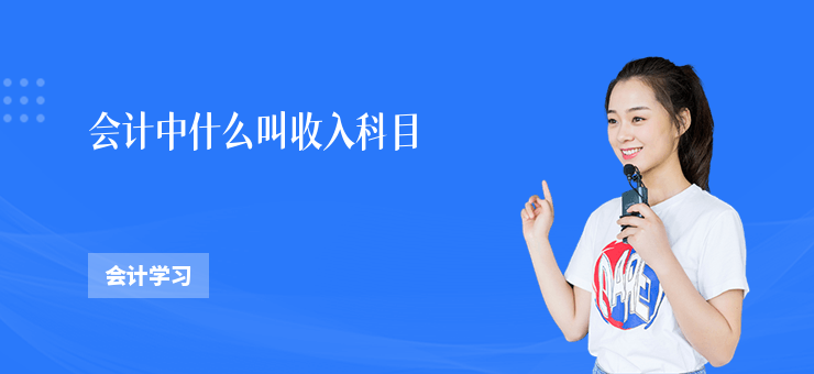 會計中什么叫收入科目