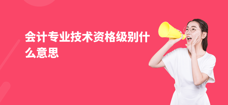 會計專業技術資格級別什么意思