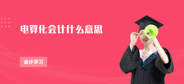 電算化會計什么意思