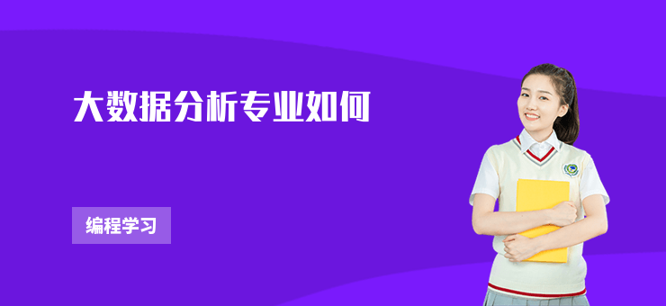 大數(shù)據(jù)分析專業(yè)如何