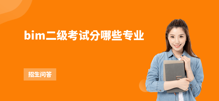 bim二級考試分哪些專業(yè)