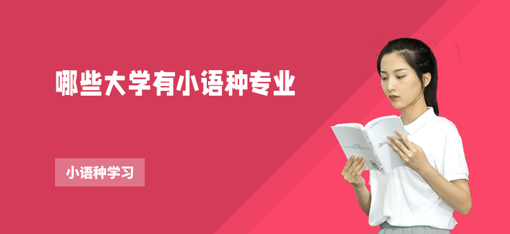 哪些大學(xué)有小語(yǔ)種專業(yè)