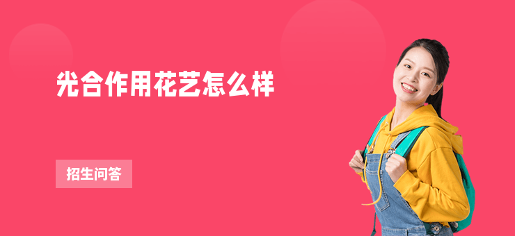 光合作用花藝怎么樣