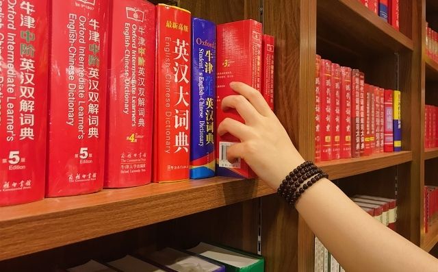 項(xiàng)目費(fèi)用