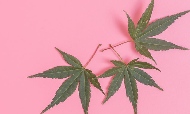 有效美工技能提升