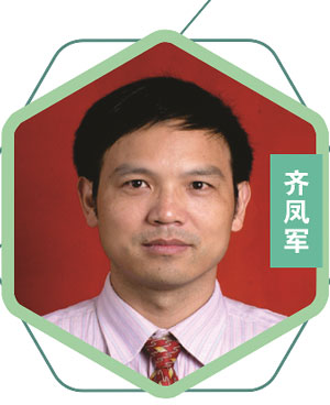 齊鳳軍