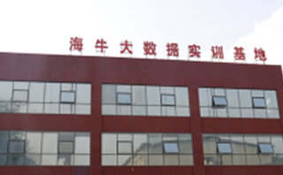 北京海牛教育
