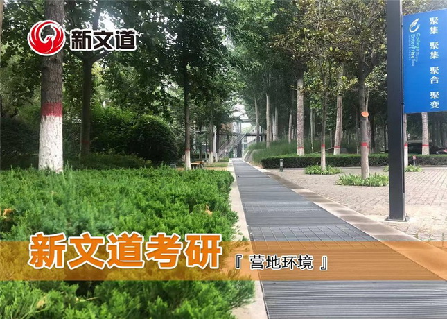 營(yíng)地環(huán)境