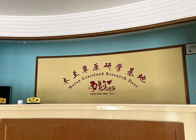 前臺(tái)咨詢(xún)