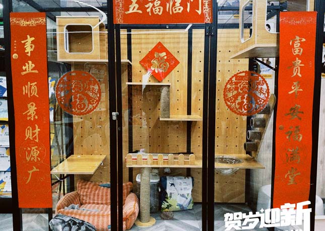 校區(qū)環(huán)境