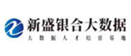 深圳新盛银合教育logo
