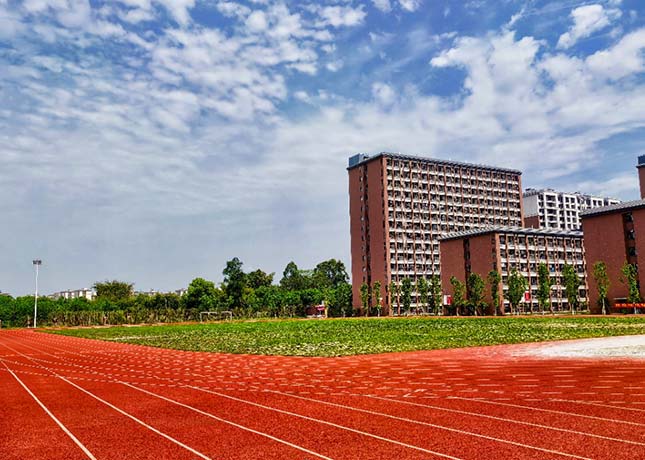 運動場