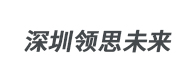 深圳領(lǐng)思未來(lái)國(guó)際教育logo