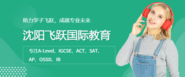沈陽飛躍國際教育