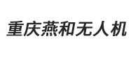 重慶燕和無(wú)人機(jī)logo