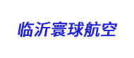 臨沂寰球航空logo